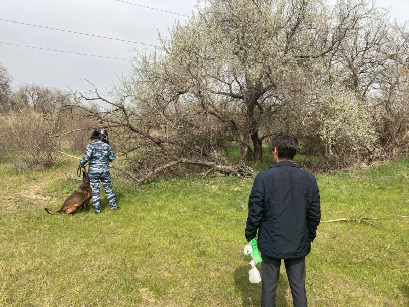 В Наримановском районе оперативники задержали оптового закладчика наркотических средств